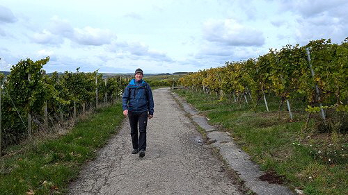 202410 Mainwanderung