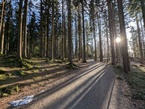 202502 Bayerischer Wald