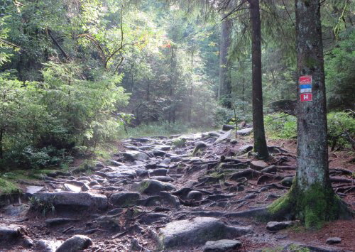 Hhenweg Fichtelgebirge