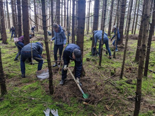 Lions-Pflanzaktion 2023